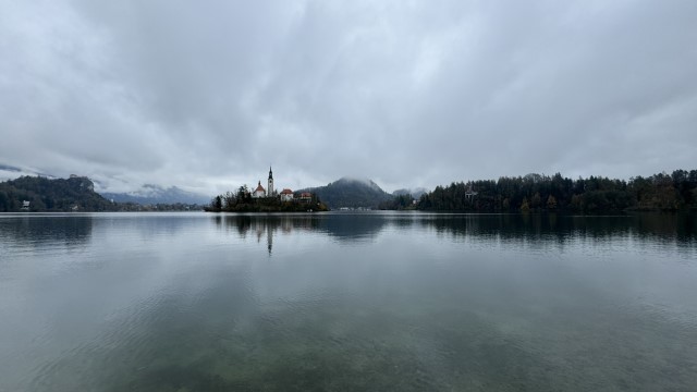 IMG 4578