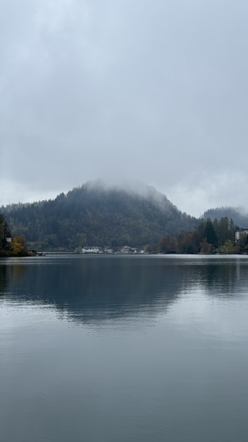 IMG 4583