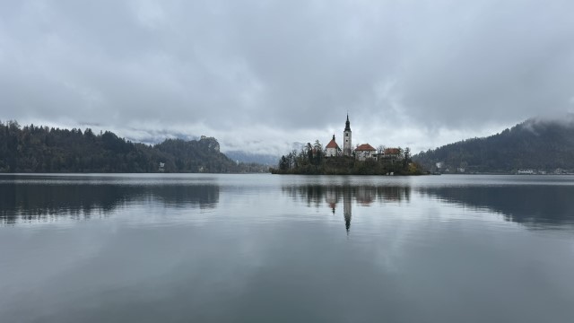 IMG 4592