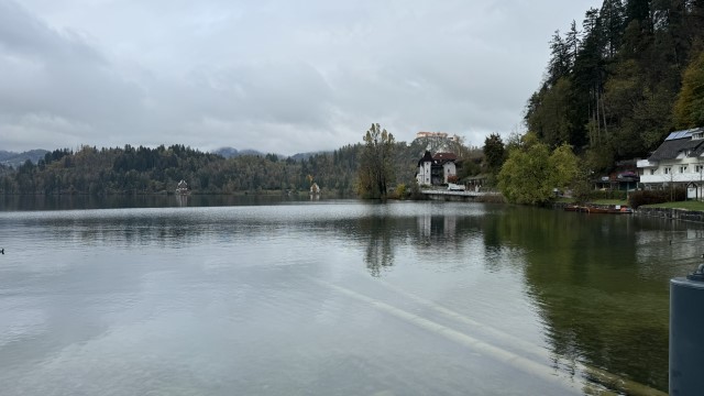 IMG 4639