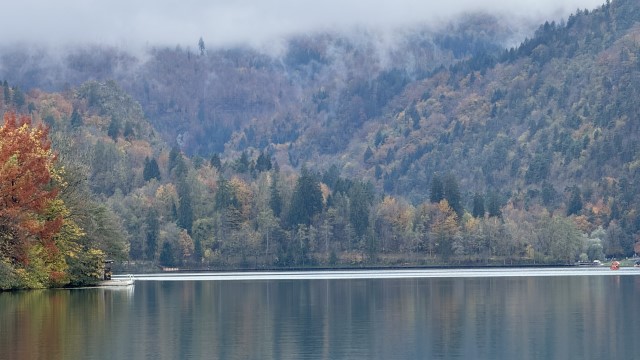IMG 4649