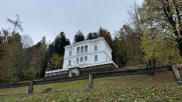 IMG 4667