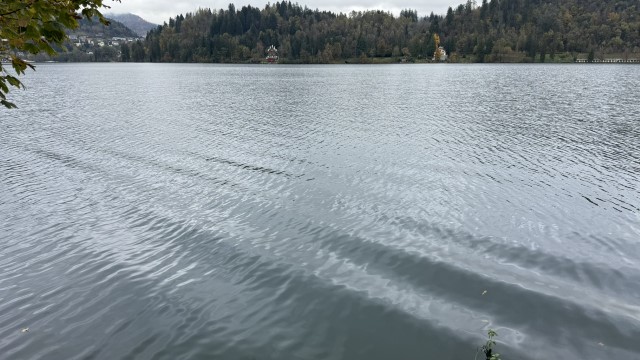 IMG 4668