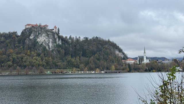 IMG 4677