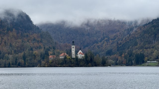 IMG 4698