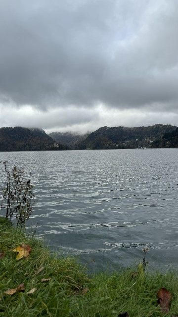 IMG 4709