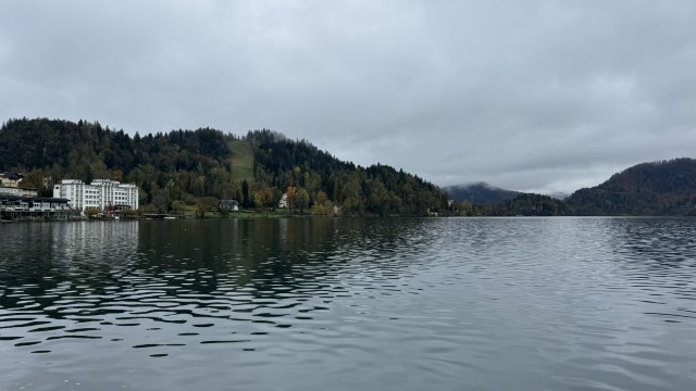 IMG 4738