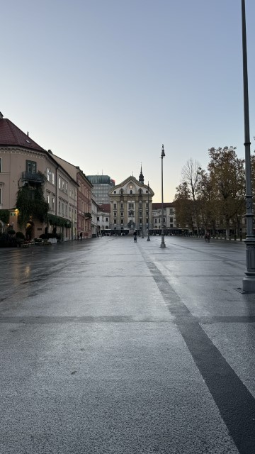 IMG 3643