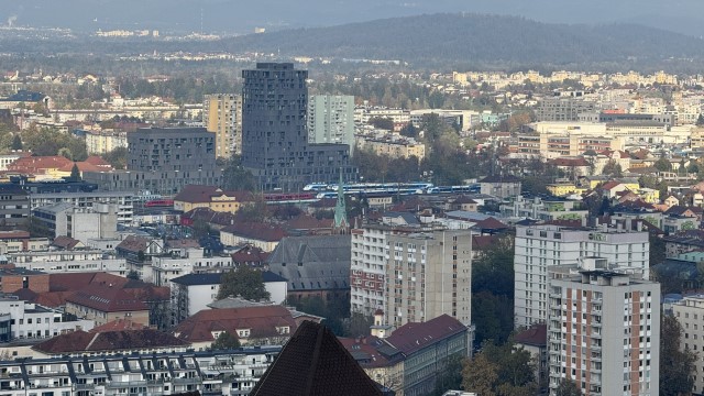 IMG 3944