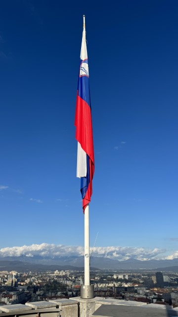 IMG 3960