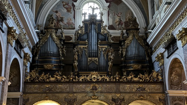 IMG 4311