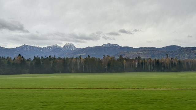 IMG 5210