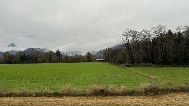 IMG 5245