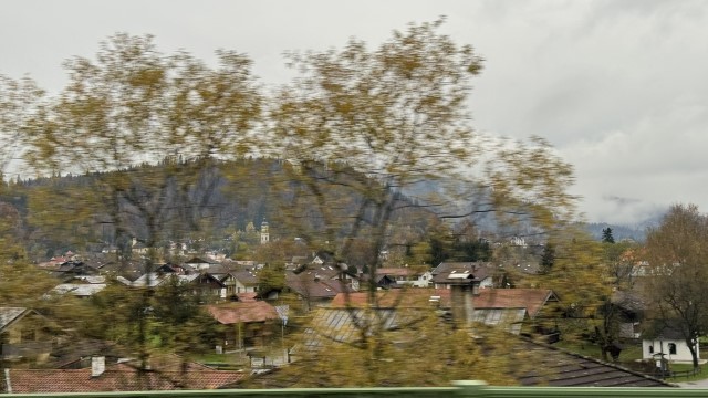 IMG 5248