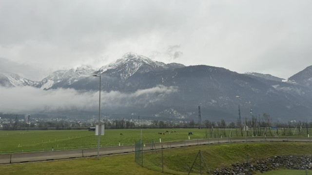 IMG 5307
