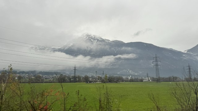 IMG 5313
