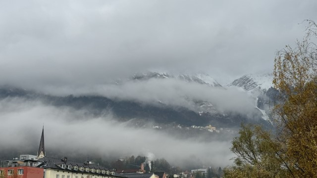 IMG 5540
