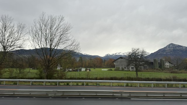 IMG 4889