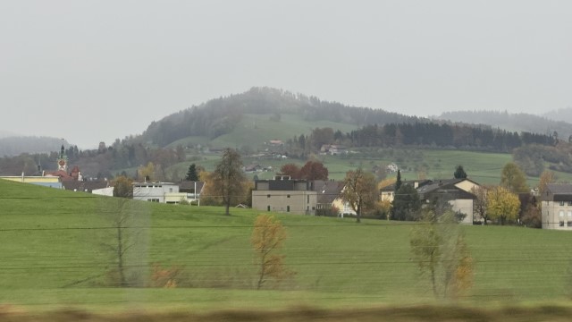 IMG 4896