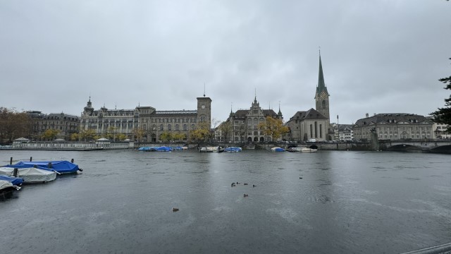 IMG 4997