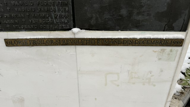 IMG 7341