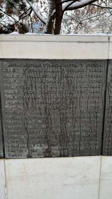 IMG 7345