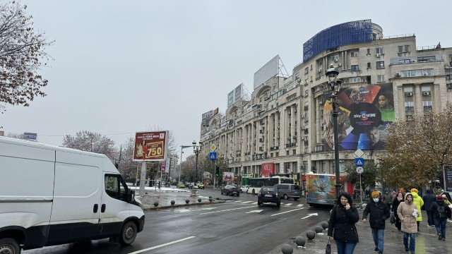 IMG 7369