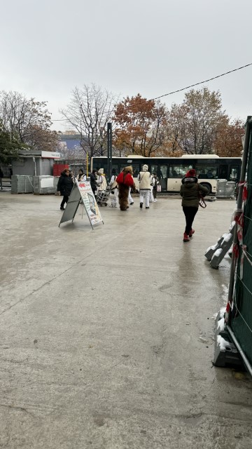 IMG 7426