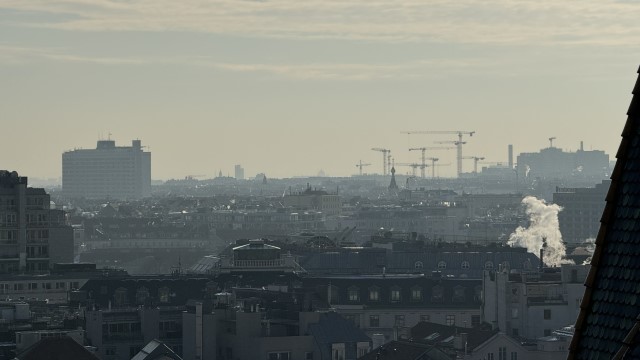 IMG 7753