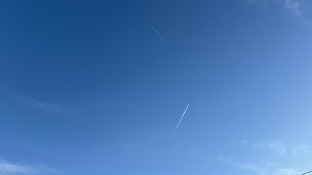 IMG 8411