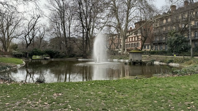 IMG 8809