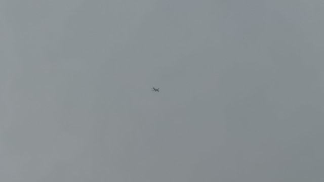 IMG 8860