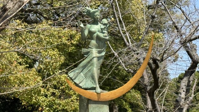 IMG 2374