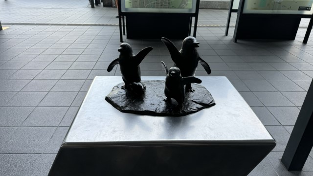 IMG 1260