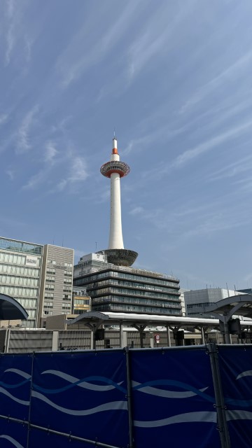 IMG 1261