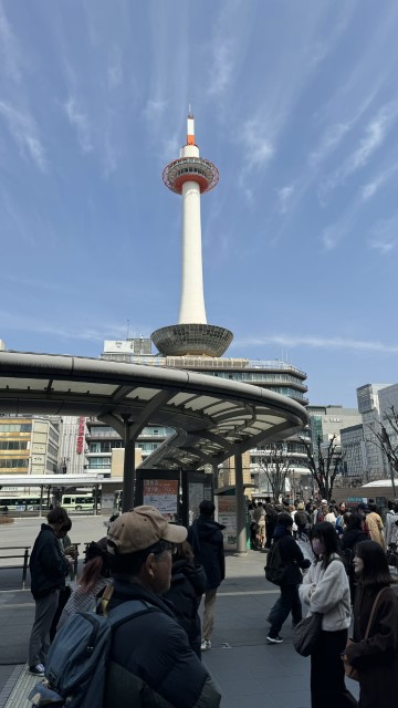 IMG 1266