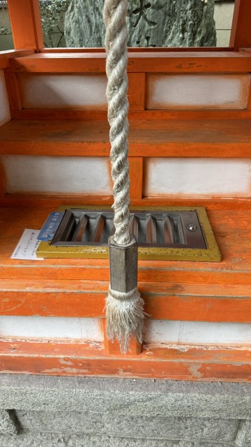 IMG 1604