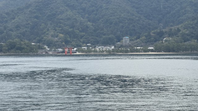 IMG 2575