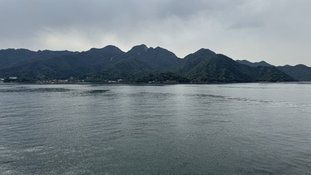 IMG 2576