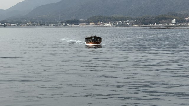 IMG 2584
