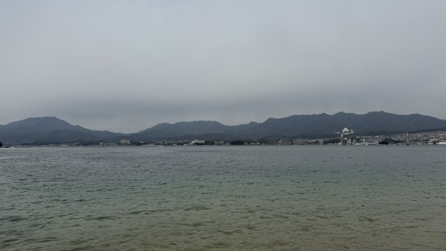 IMG 2637