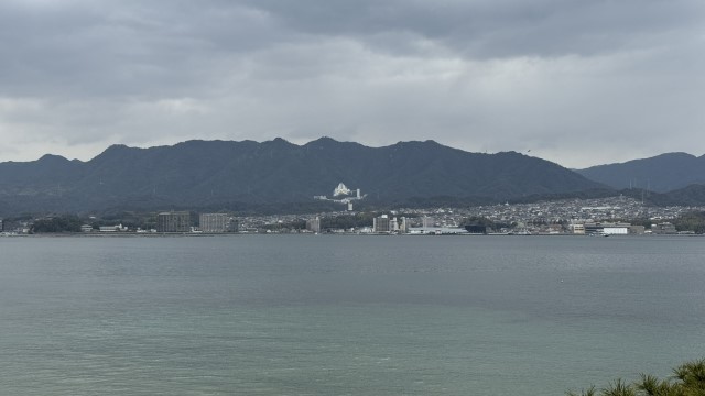 IMG 2643