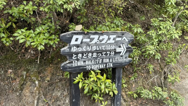 IMG 2709