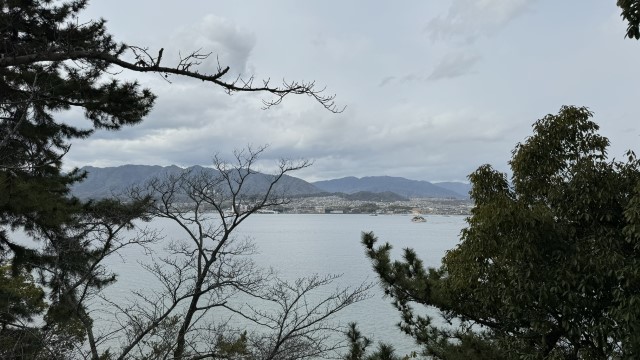 IMG 2859
