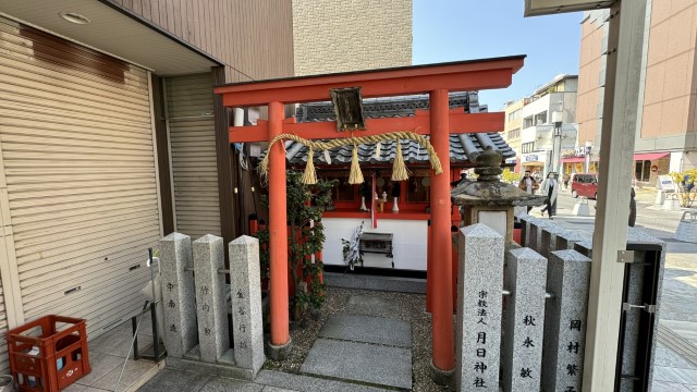 IMG 1667
