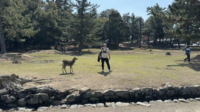 IMG 1725