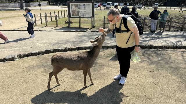 IMG 1797