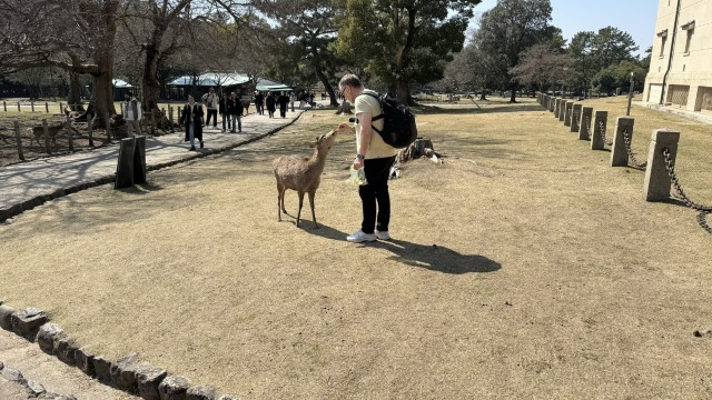 IMG 1799