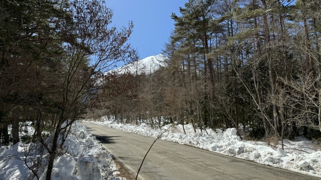 IMG 0371