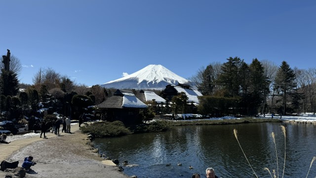 IMG 0441
